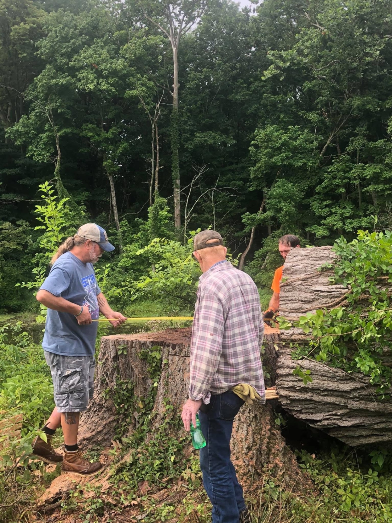 Club members clearing a fallen tree on a work day beside the pond