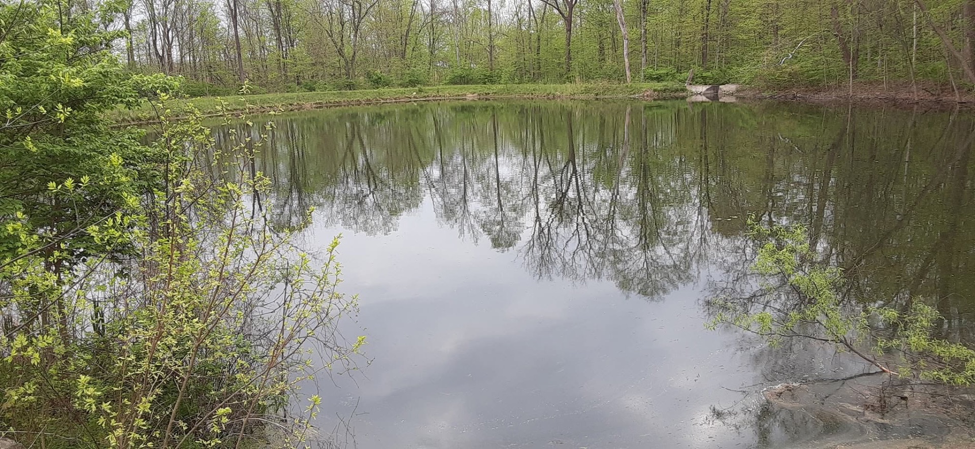 Spring morning on the stocked pond